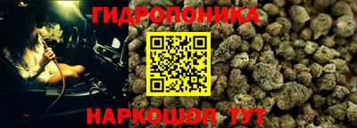 соль ск Краснознаменск