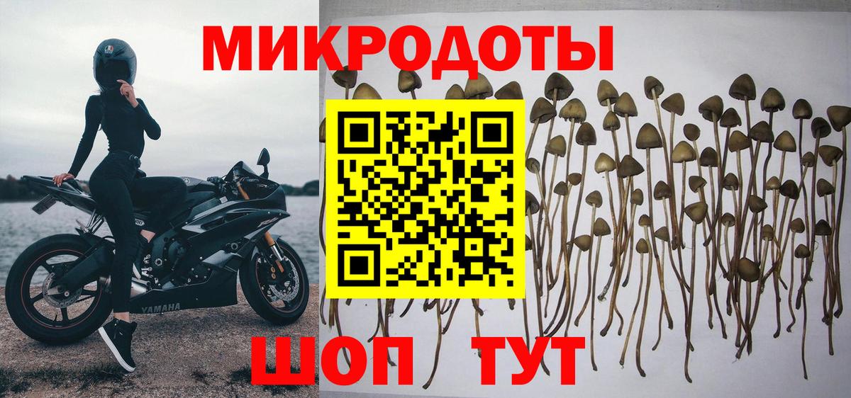 Галлюциногенные грибы прущие грибы  Галлюциногенные грибы прущие грибы  Красноармейск  Вход с VPN 